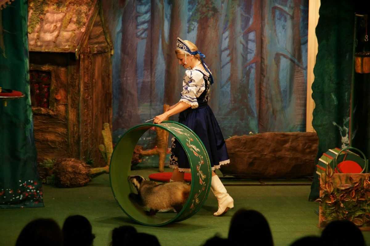 Билеты на Кака Бабка-ёжка доброй стала в Уголке дедушки Дурова(Малая сцена)