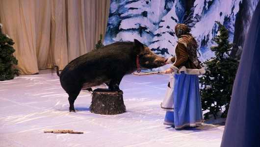 Билеты на Историю хрустальной туфельки в Уголке дедушки Дурова