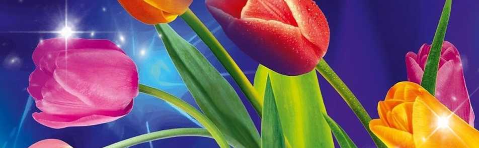 Билеты на Все звезды для любимой в Кремлевском Дворце