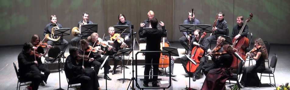 Билеты на Оркестр Pratum integrum в Доме Музыки (Камерный зал)