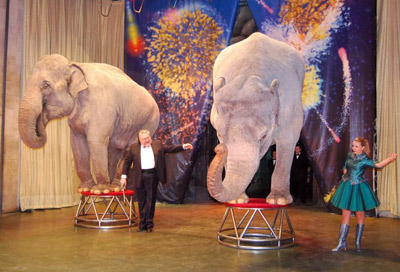 Билеты на Дорогу - длиною в век в Уголке дедушки Дурова