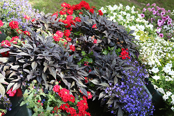 Билеты на Moscow Flower Show в Парке Искусстве Музеоне