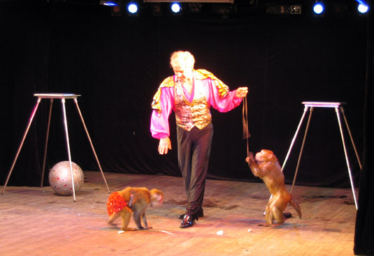 Билеты на У вас в гостях волшебники в Театре Иллюзии