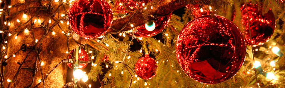 Билеты на Елку в музее Пушкина в Пушкиной музей