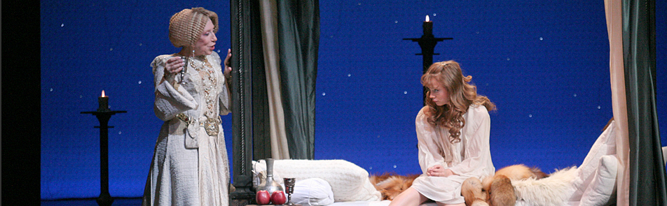 Билеты на Аквитанскую львицу в Ленкоме театр