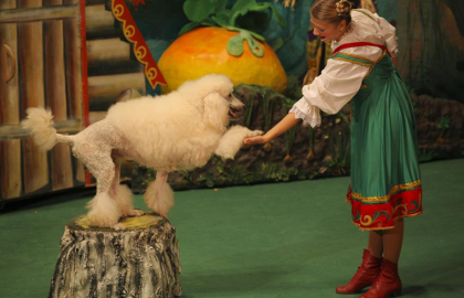 Билеты на Репку в Уголке дедушки Дурова