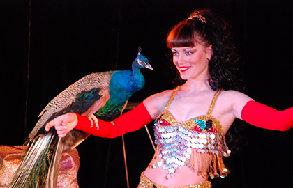 Билеты на Московское шоу зверей в Театре Иллюзии