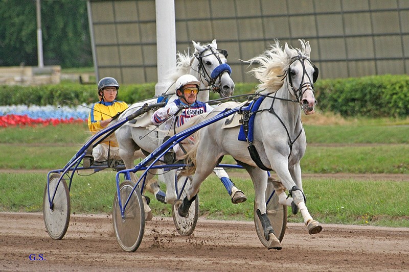 Билеты на Бега и Скачки в Ипподроме