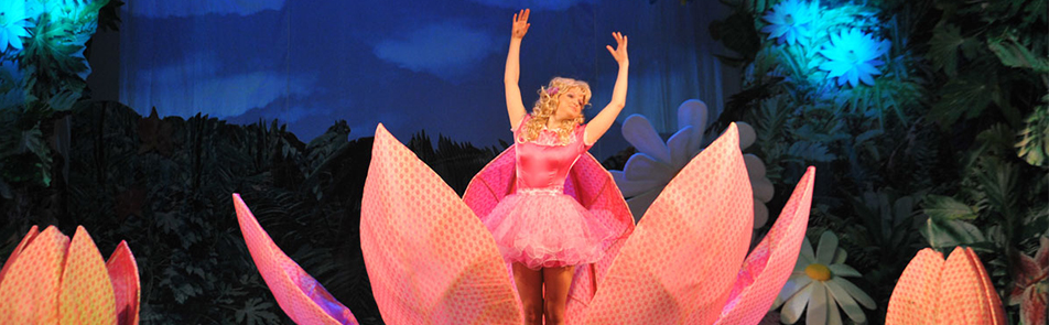 Билеты на Дюймовочку в Практике театр