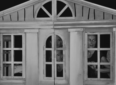 Билеты на Ревизора в Московском областном театре кукол