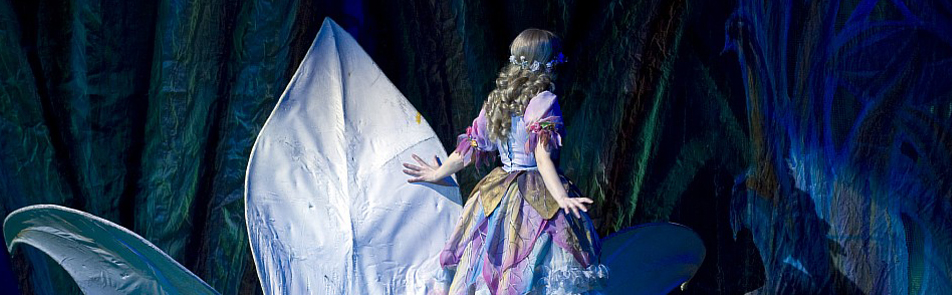 Билеты на Дюймовочку в Саце театр (малый зал)