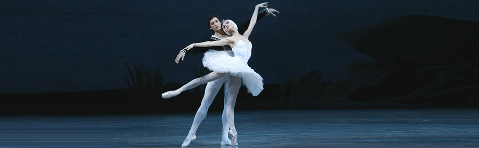 Билеты на Лебединое озеро в Новой Опере