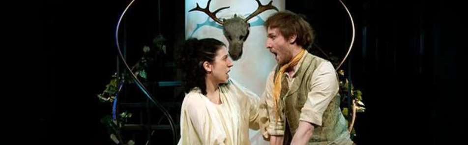 Билеты на Сказку Арденнского леса в Мастерской Петре Фоменко (Новая сцена; Малый зал)