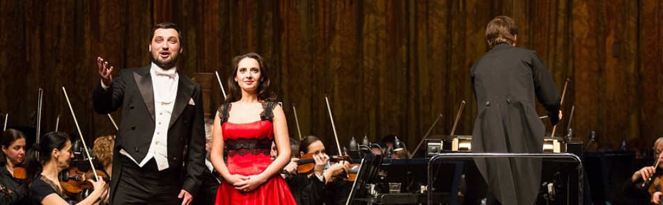 Билеты на Иоганна Штрауса в Доме Музыки (Светлановский зал)