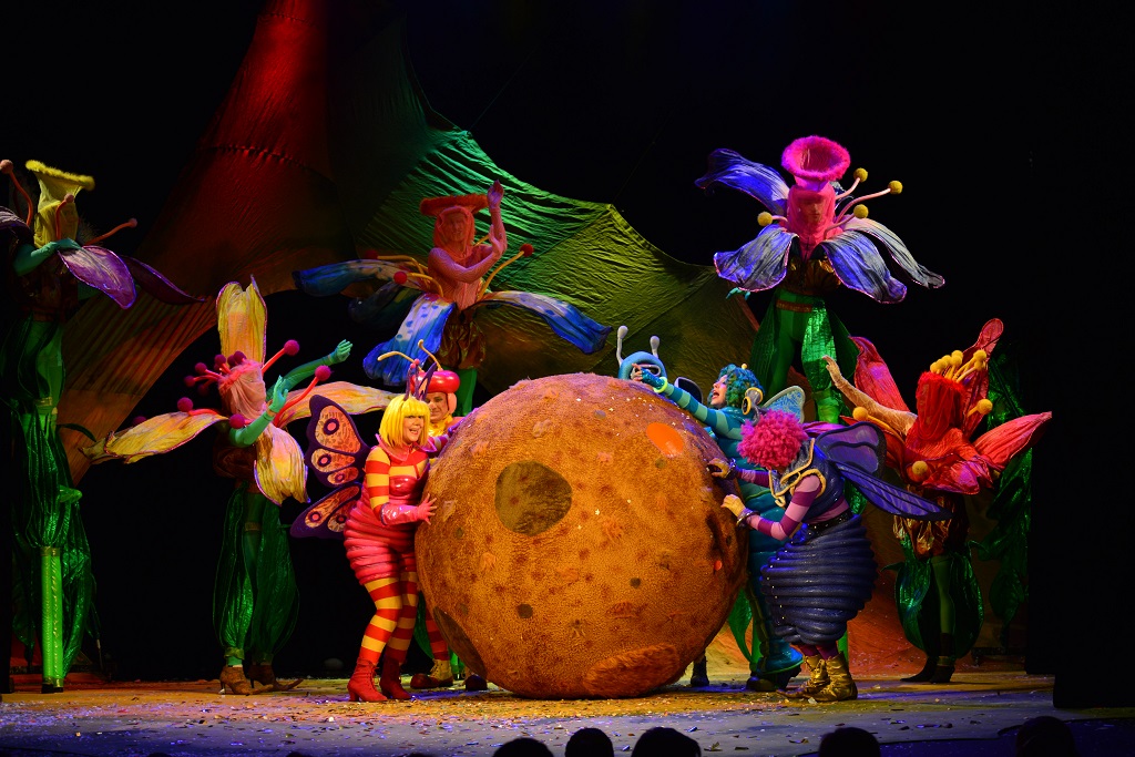 Билеты на Театр людей и кукол Чудаки в Доме Музыки (Театральный зал)