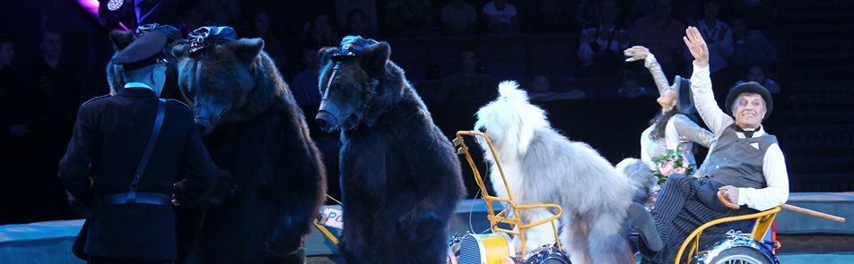 Билеты на Гала-шоу Идол в Цирке на Вернадского