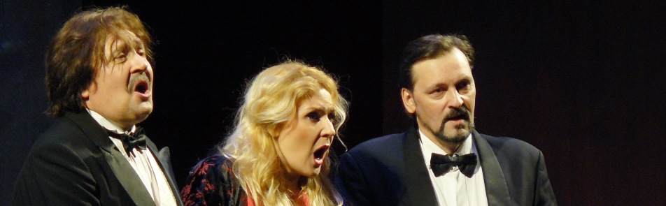 Билеты на Летучую мышь в БЗК