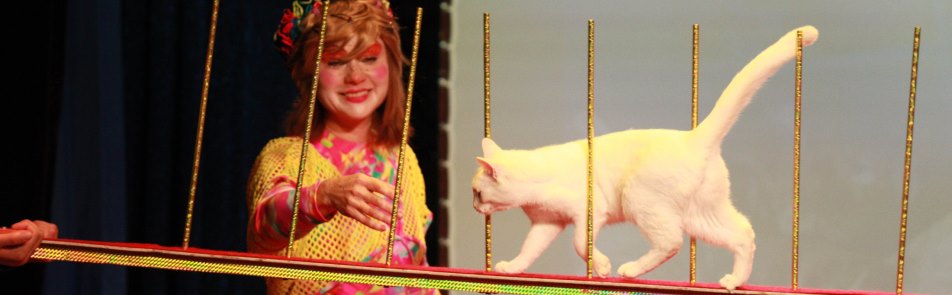 Билеты на Моего папу – клоун в Куклачевах театр кошек