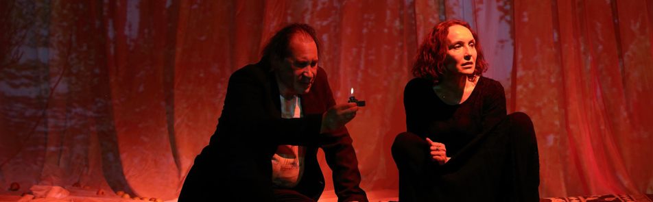 Билеты на Доктора сада в Школе драматического искусства театр(Тау-зал)