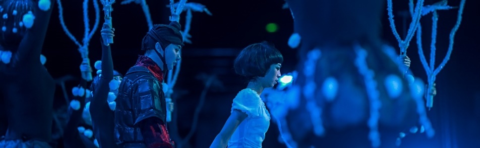 Билеты на Китайское балетно-акробатическое шоу - Щелкунчик в Конгрессе центр им. Г.В. Плеханова