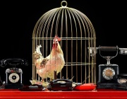 Билеты на Золотого петушка в Геликоне опера