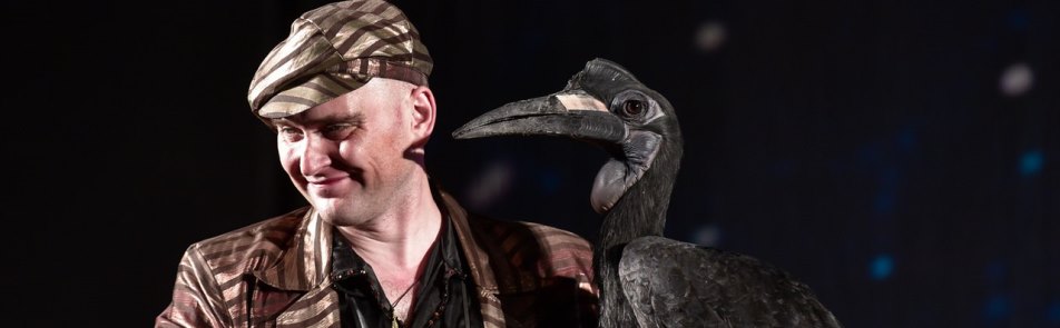 Билеты на У вас в гостях волшебники в Доме Музыки (Театральный зал)