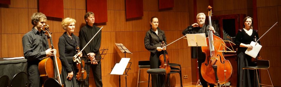 Билеты на Ансамбль солистов «Академия старинной музыки» в Чайковскоге КЗ