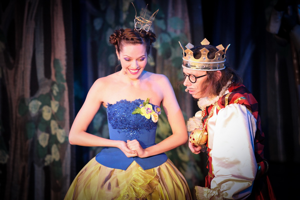 Билеты на Бременских музыкантов в Доме Музыки (Театральный зал)