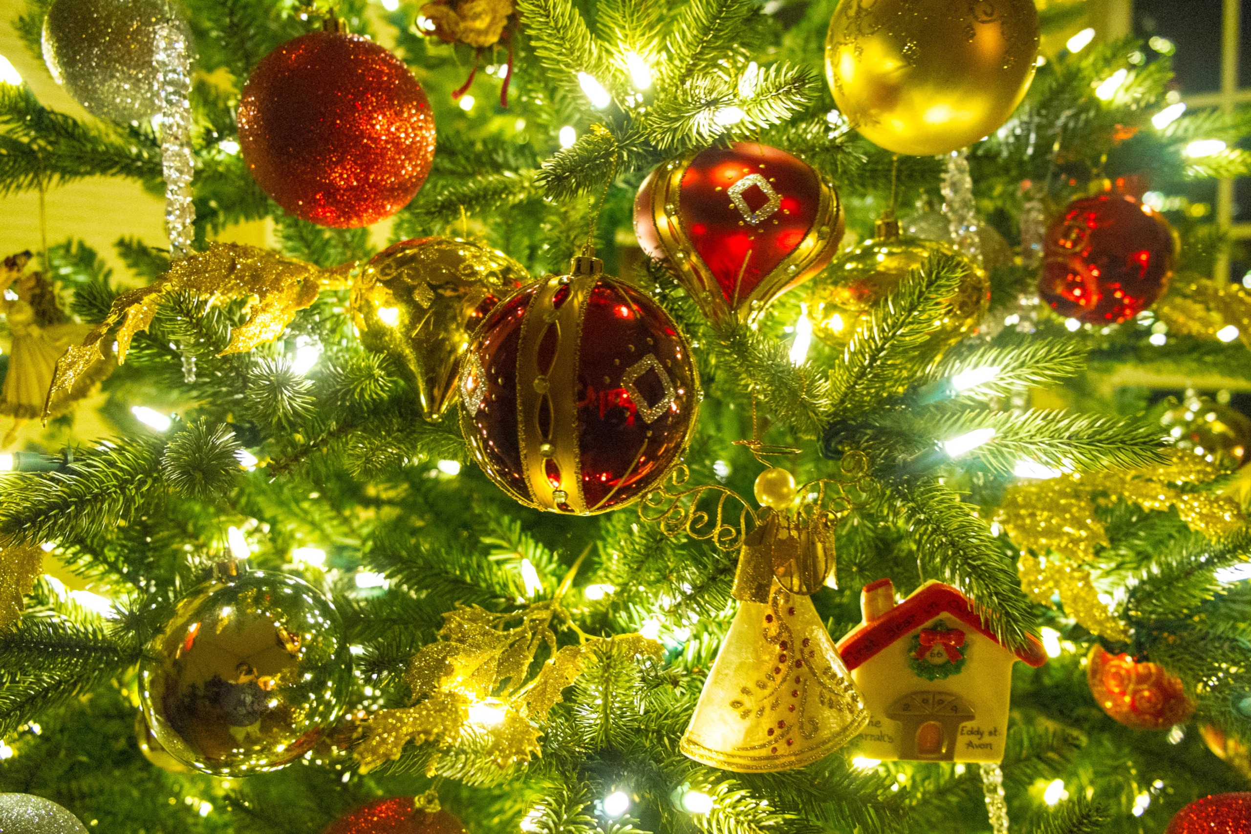 Билеты на Тайну Вселенной Деда Мороза. Елка в Крокусе в Крокусе Сити Холле