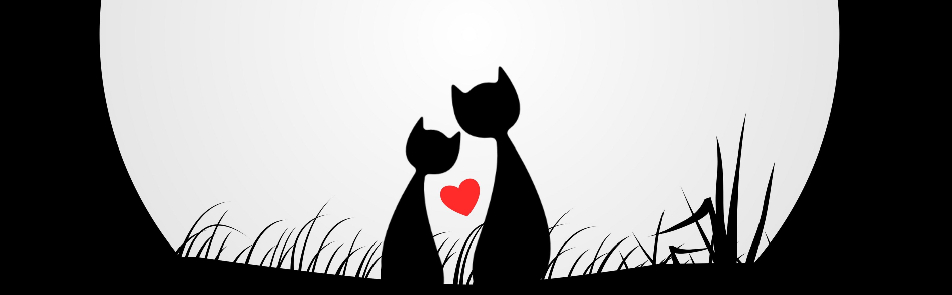 Билеты на Черную кошку, белый кот в Не Таганке театр (Новая сцена)