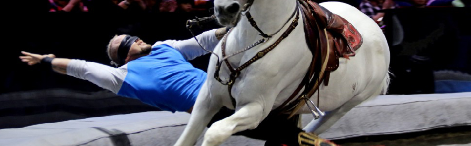 Билеты на Открытую репетицию в Цирке на Вернадского