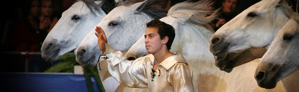 Билеты на Конное шоу в МТС Live Арена