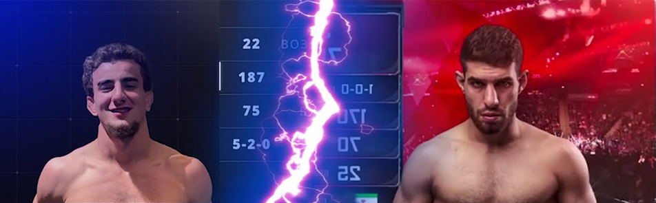 Билеты на Hardcore Fighting Championship в ЦСКАХ Арена (ех Арена Легенд)