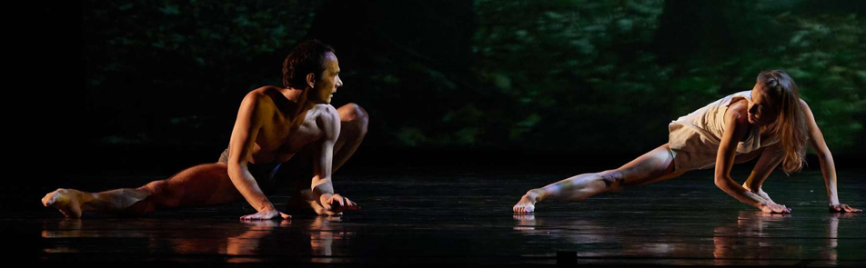 Билеты на Postscript в Большом театре (Новая сцена)