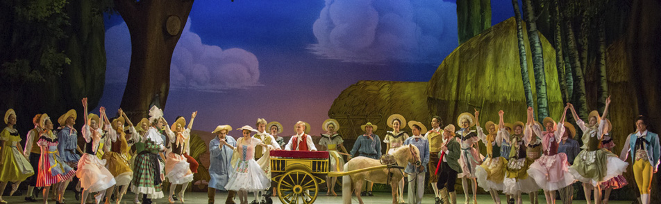 Билеты на Тщетную предосторожность в Михайловском театре