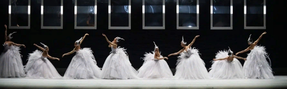 Билеты на Swan (Лебедя) в МТС Live Арена