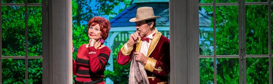 Билеты на В этом милом старом доме в Ленсовете театр