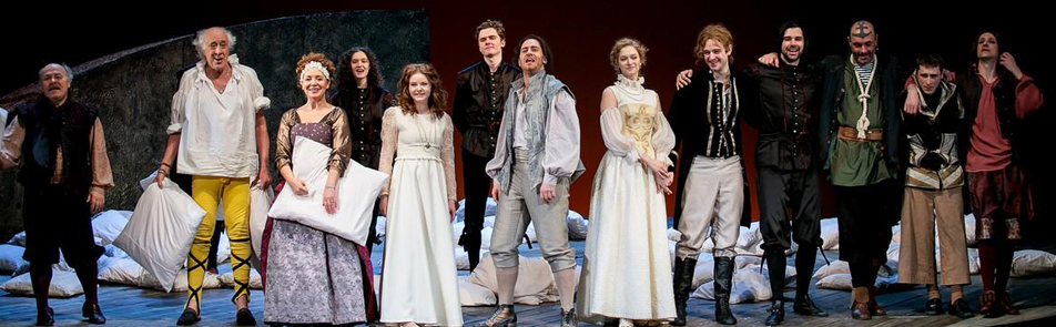 Билеты на Двенадцатую ночь в Ленсовете театр