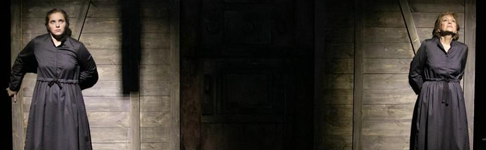 Билеты на Жизнь - сапожок непарный в Ленсовете театр (малая сцена)