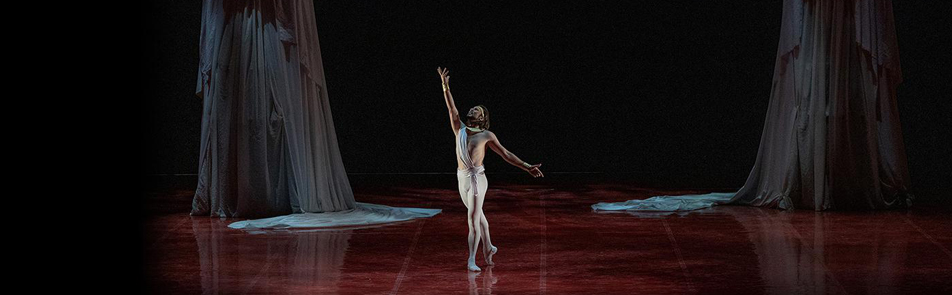 Билеты на Федра, Жар-птица в Большом театре (Новая сцена)