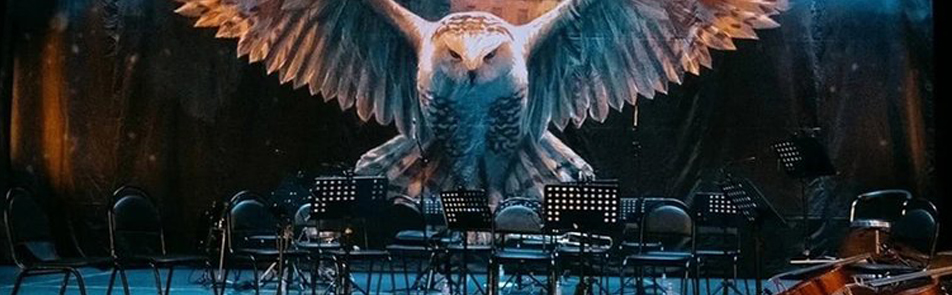 Билеты на Hogwarts music team в Доме Музыки. Зал Шнитке (Новый зал)