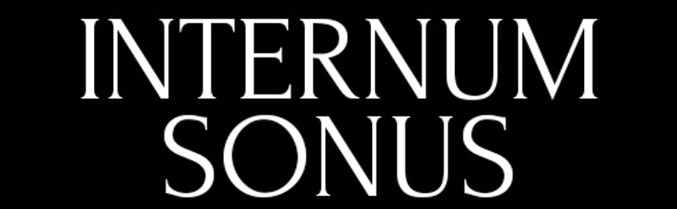 Билеты на Камерный хор и оркестр Internum Sonus в МЗК